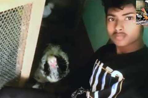 my first video ||#video #YouTube videos  #viral
