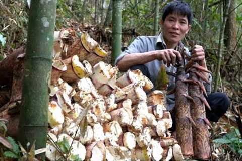 Harvesting Giant Bamboo Shoots / Chili Bamboo Shoots Making Process  - Solo Survival