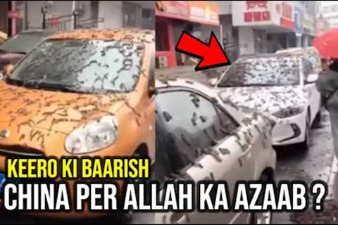 Strange ‘worm rain’ viral video from China explained | Almas Jacob