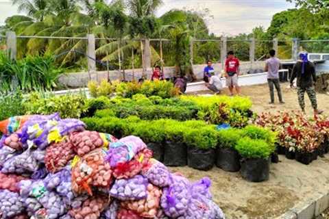 Wow grabe yong transformation garden makeover landscaping design #junielandscape #beforeandafter