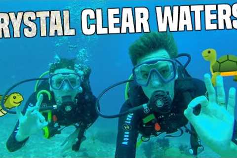 White Island SCUBA DIVING, Camiguin (we saw a turtle!!) | Philippines Travel