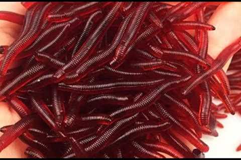 Fishing Lures Artificial Silicone Pesca Lifelike Fishy Smell Red Worms Soft Bait Simulation
