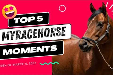 5 Amazing moments in horse racing this week that you don't want to miss!