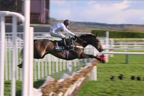 CONSTITUTION HILL is pure perfection as he runs away with the 2023 Champion Hurdle