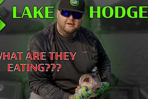 Fishing Lake Hodges For Big Belly's | Other Than Ours