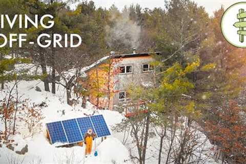 Man Spends 6 Years Living Off-Grid with Rainwater &amp; Solar in a Self-Built Cabin