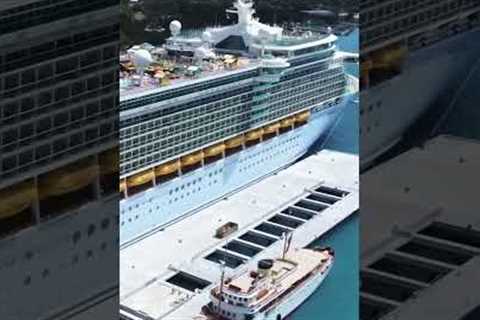 Full House in Nassau! #cruiseship #shorts