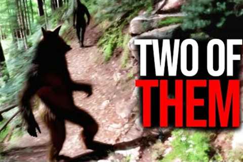One in a Million Trail Cam Captures