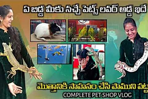 HYDERABAD PET SHOP VLOG|CAT🐈🐦FISH🐟|SNAKES||PARROTSBall pythons/iguanas exotic pet store in..