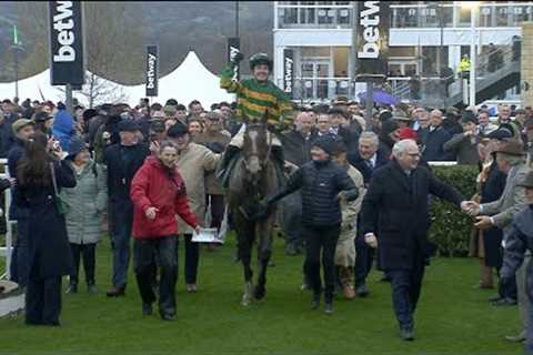 A Dream outcome to Champion Bumper is one to remember - Racing TV