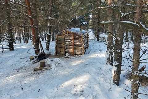 My Cozy Forest House Sheltered Me on a Cold Winter Day, Forest Cooking