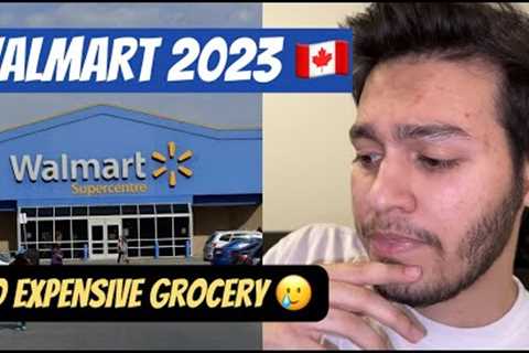 GROCERY SHOPPING 2023 | INTERNATIONAL STUDENT GROCERY SHOPPING IN 🇨🇦 CANADA | OGAAN SHARMA