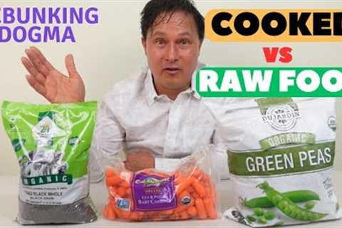 Raw Food vs Cooked: Does Cooking Actually Destroy Nutrients?