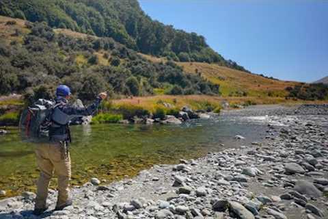 Easily One of My Best Days Fly Fishing Ever