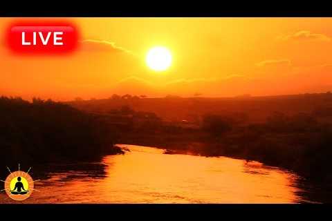 🔴 Relaxing Music 24/7, Sleep Music, Stress Relief Music, Spa, Meditation, Yoga, Zen, Ocean Sounds