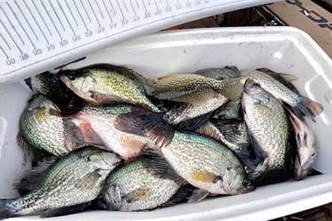 How To Catch, Clean, Cook and Properly Freeze *CRAPPIE*