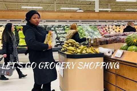 A SNOWY DAY- Come grocery shopping with me! GROCERY SHOPPING VLOG IN CANADA #canada