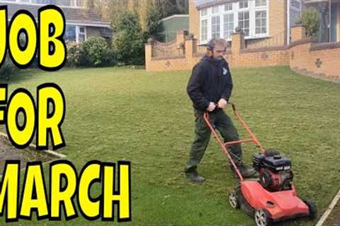 START the LAWN care NOW it's MARCH