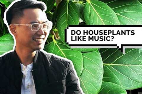 Houseplant Expert Busts Common Plant Myths