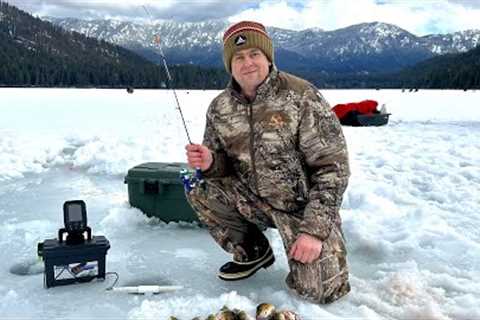 ICE Fishing at fish lake | Yellow Perch