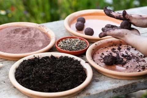 What is Guerrilla Gardening?