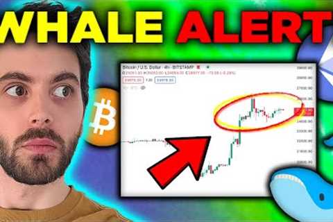 The REAL REASON Bitcoin Is Going Up… [Whale Buys $1 BILLION]