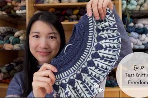 TheKnittingPT Episoide 37: Test Knitting Freedom!