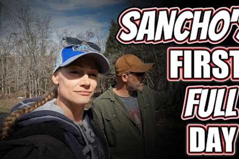 Sanchos First Full Day | BUILDING A PIG PEN |Couple builds house | Homestead build