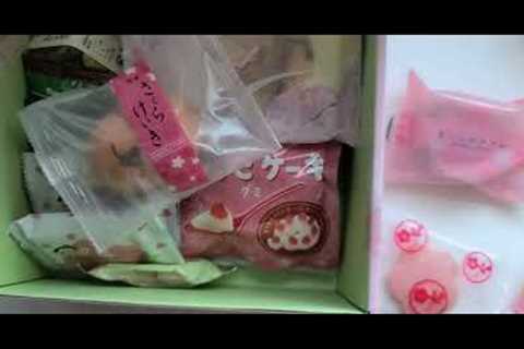 Monthly Bokksu Unboxing