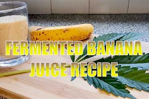 Fermented Banana Juice for Cannabis
