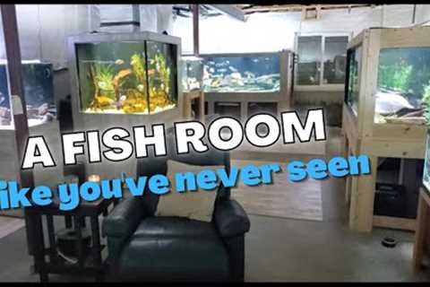 Fish Room Tour - Giant Tanks, Rare Fish, and one Extraordinary Hobby