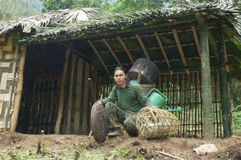 Build a kitchen for a survival shelter, survival alone