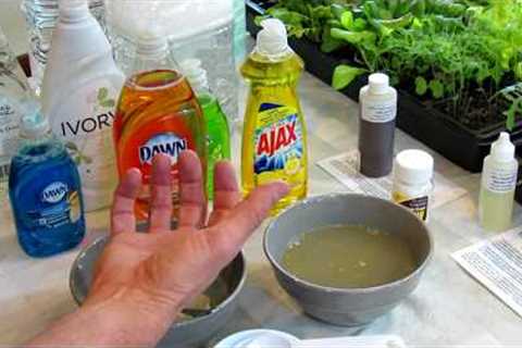How to Make Soapy Water Garden Insect Sprays: The Recipe, Use &amp; Soap Selection - DIY Ep-3