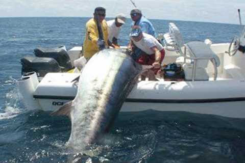 Amazing Fastest Giant Bluefin Tuna and Black Marlin Fishing Skill - Amazing big catching on the sea