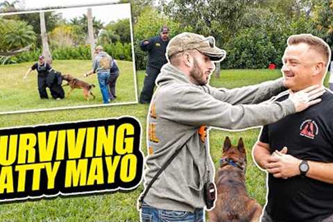Taking a BITE from Patty Mayo's BELGIAN MALINOIS