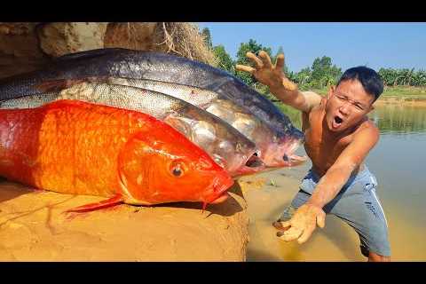 Top 10 Video Of Fishing Underground Big Stuck Fish Catching River Dry Sand Hole By Hand #33