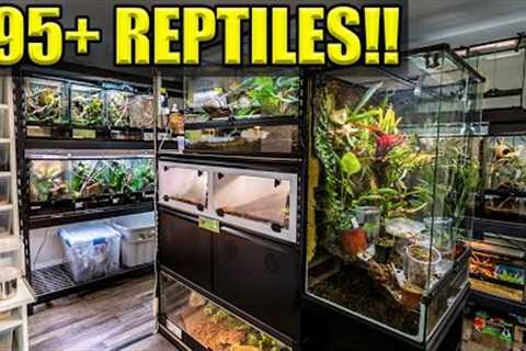 95+ REPTILES &amp; AMPHIBIANS!! | Reptile Room Tour May 2022!!