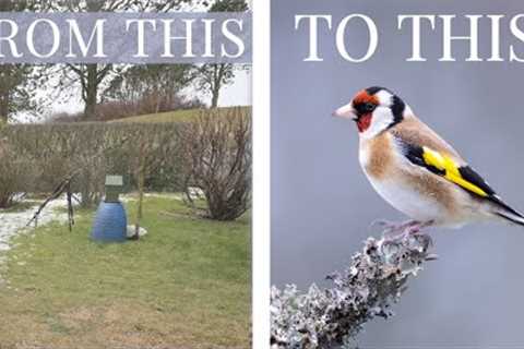 BIGINNER TIPS to BIRD PHOTOGRAPHY // Garden birds from start to finish