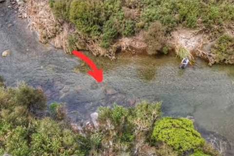 FISHING AFTER A CYCLONE!! [Brown Trout]