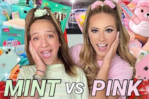MINT 🧚🏼‍♂️🧩 VS PINK 🐷🌸 TARGET SHOPPING CHALLENGE!
