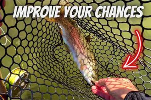 This Fly is DEADLY for Early Spring Fly Fishing