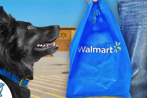 I Found AMAZING Dog Training Tools HIDDEN In Walmart
