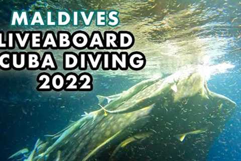 An Adventure Trip in Maldives. Liveaboard Scuba Diving 2022