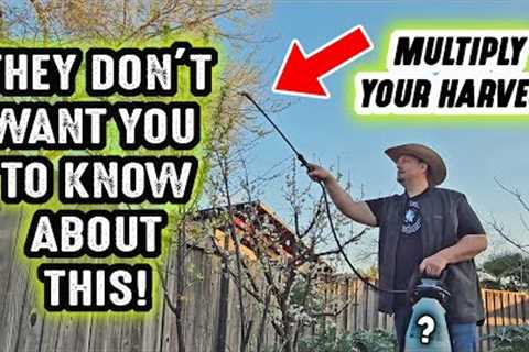 They DONT WANT YOU TO KNOW this secret GARDENING HACK that will change the way you garden FOREVER!!