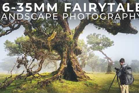 Solving the Puzzle of Woodland Landscape Photography: Tips and Techniques
