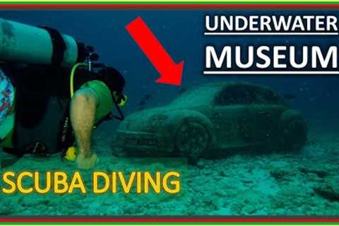 WHAT IT'S LIKE SCUBA DIVING IN CANCUN'S UNDERWATER MUSEUM WITH MY 11-YEAR-OLD SON/ MUSA/ FISH