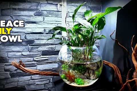 Aquascape Tutorial: Peace Lily Bowl Aquarium (How To: Step By Step Planted Tank Guide)
