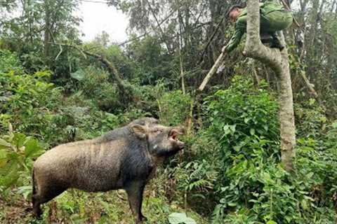 Survive alone, follow the trail, wild boar, weave bamboo baskets. catching fish, survival instinct