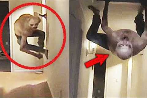 30 Scary Videos To Hide From In The Comments