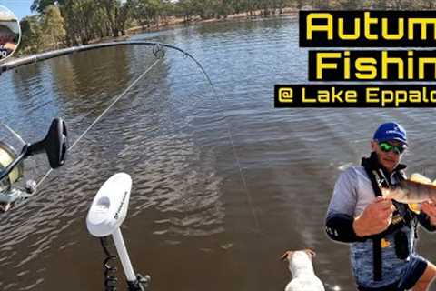 Autumn Fishing at Lake Eppalock  | Searching for Yella Belly and Catching Redfin